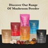 Ancient Extracts Chaga Mushroom Extract Powder - Minimum 30% Beta