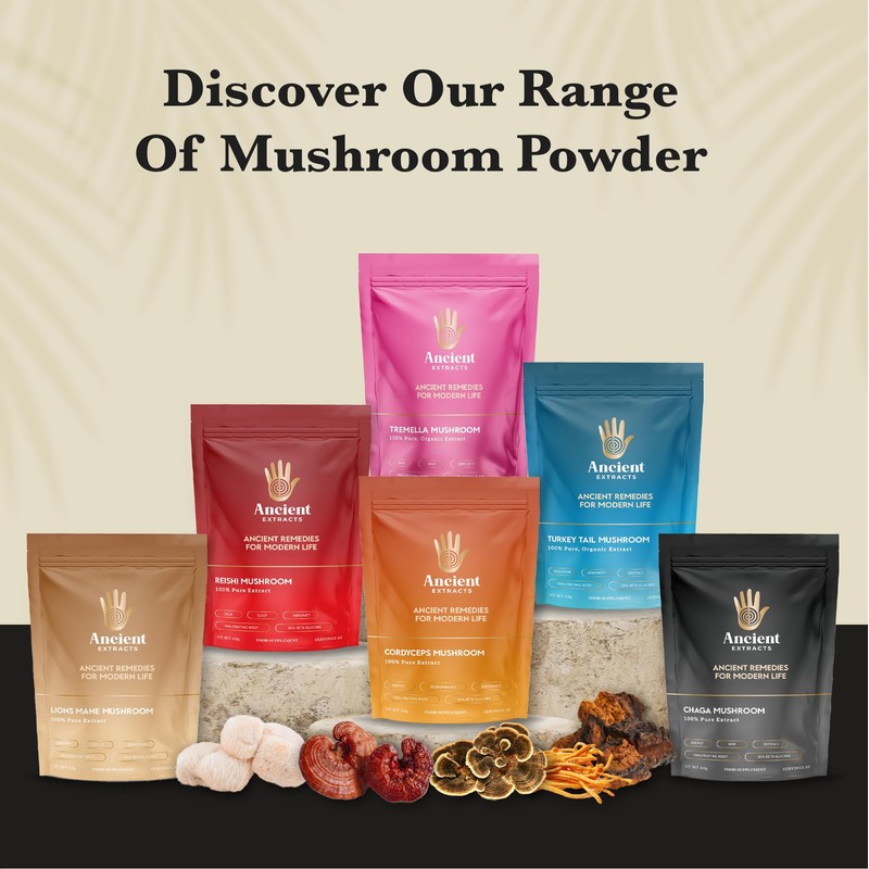Ancient Extracts Chaga Mushroom Extract Powder - Minimum 30% Beta
