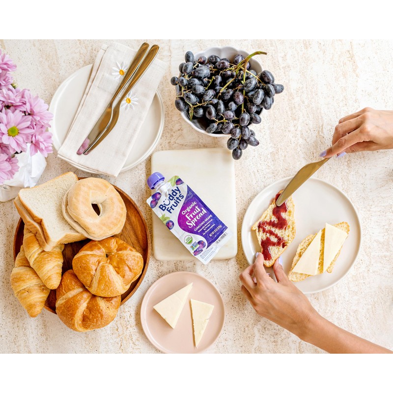 Buddy Fruits Organic Concord Grape Fruit Spread 13 oz (Pack