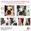 Augustine Approved SuperBath for Healthy Coat for Dogs Cats Pets