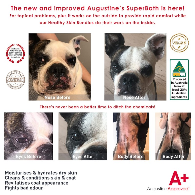 Augustine Approved SuperBath for Healthy Coat for Dogs Cats Pets