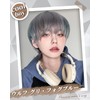Peacoco Wig, Men's Men's Wig, Wolf, Natural, Easy, Handsome Cosplay,
