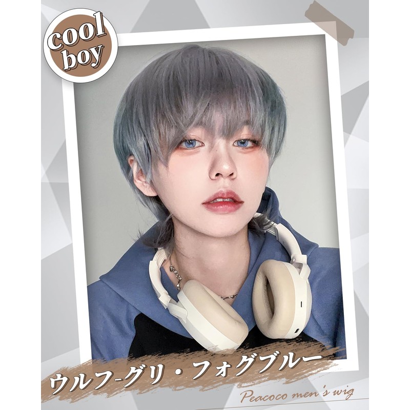 Peacoco Wig, Men's Men's Wig, Wolf, Natural, Easy, Handsome Cosplay,