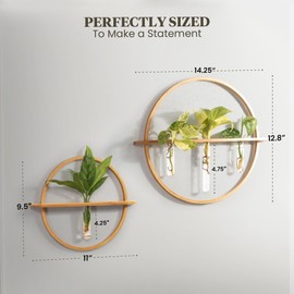 Bohemian Roots Propagation Stations - Set of 3 Bamboo Wall Planters for Indoor Plants | Propagation Wall Hanging with 5 Glass Plant Propagation Tubes | Plant Propagation Station Wall Vase