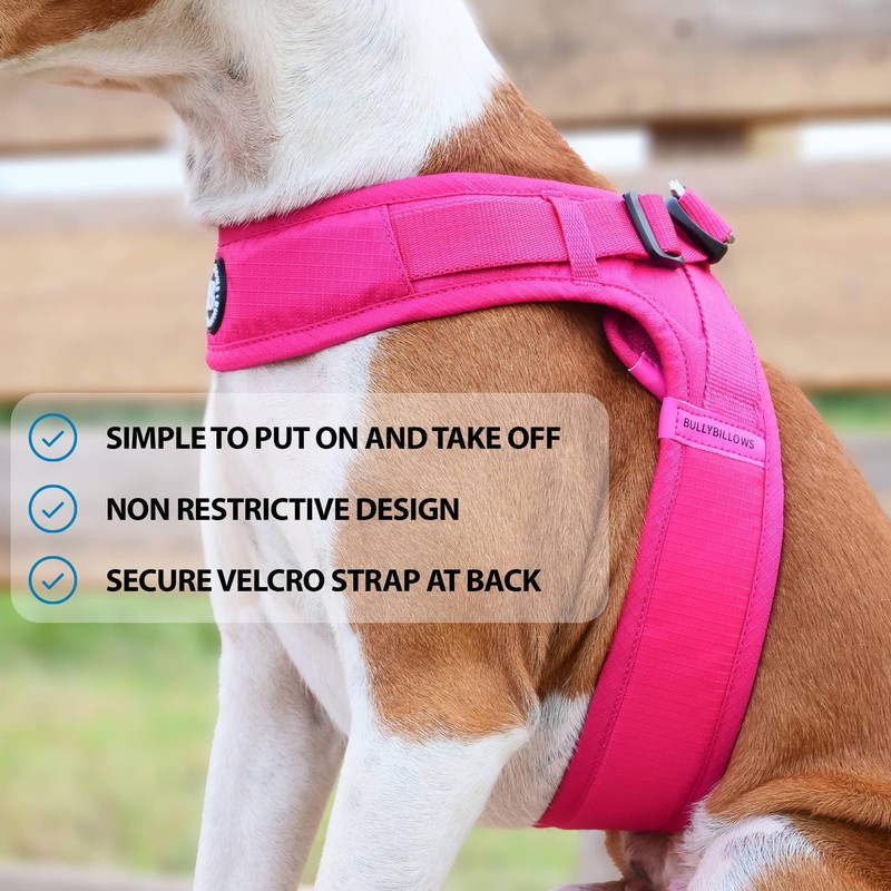 BullyBillows Boomerang Harness, Non-Restrictive, Lightweight, Easy to Put on and