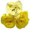 Bloomn Rose Bath Petals Shiny Rose
