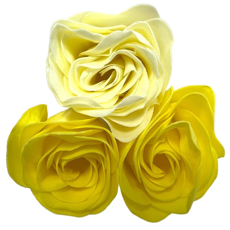 Bloomn Rose Bath Petals Shiny Rose