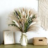 Olive Green Pampas Grass Decor 80Pcs