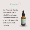 Sérum Ácido Hialurónico Con Colágeno Con Elastina