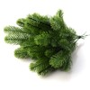 Leww 30 x 24cm Artificial Pine Branches