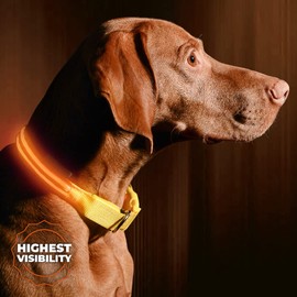 ILLUMISEEN LED Dog Collar USB Rechargeable - Bright & High Visibility Lighted Glow Collar for Pet Night Walking - Weatherproof, in 6 Colors & 6 Sizes (Orange X-Small)