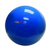 PhysioGymnic Molded Vinyl Inflatable Ball, Blue, 34 Inch