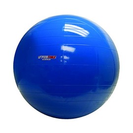 PhysioGymnic Molded Vinyl Inflatable Ball, Blue, 34 Inch