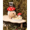 Niteangel Hamster Snack & Treats Toy: - Small Animal Natural