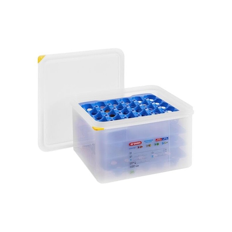 Egg Box with 4 Trays in Sturdy Blue Design for