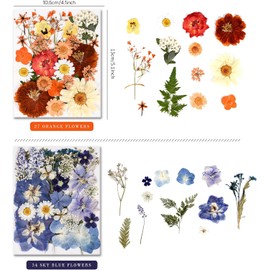 Más de 110 piezas de flores prensadas para moldes de resina, hojas secas de flores para hacer joyas de resina, flores secas para álbumes de recortes, manualidades, velas de jabón,