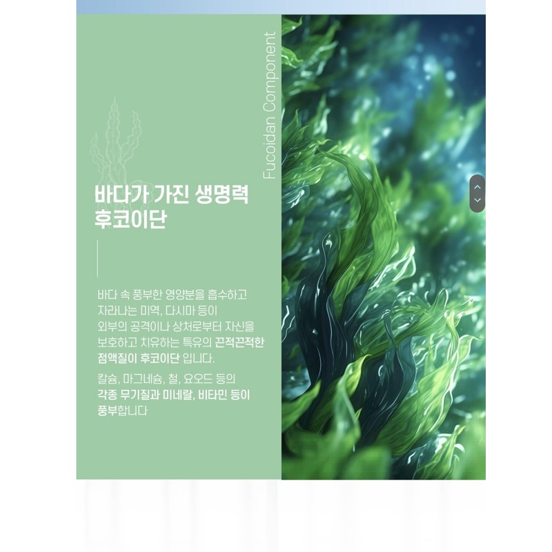 Beauty Hotel Bytox 1box (2g x 30 packs) / 뷰티호텔