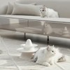 Protector de Sillones para Gatos, 20cm × 5m Protector de