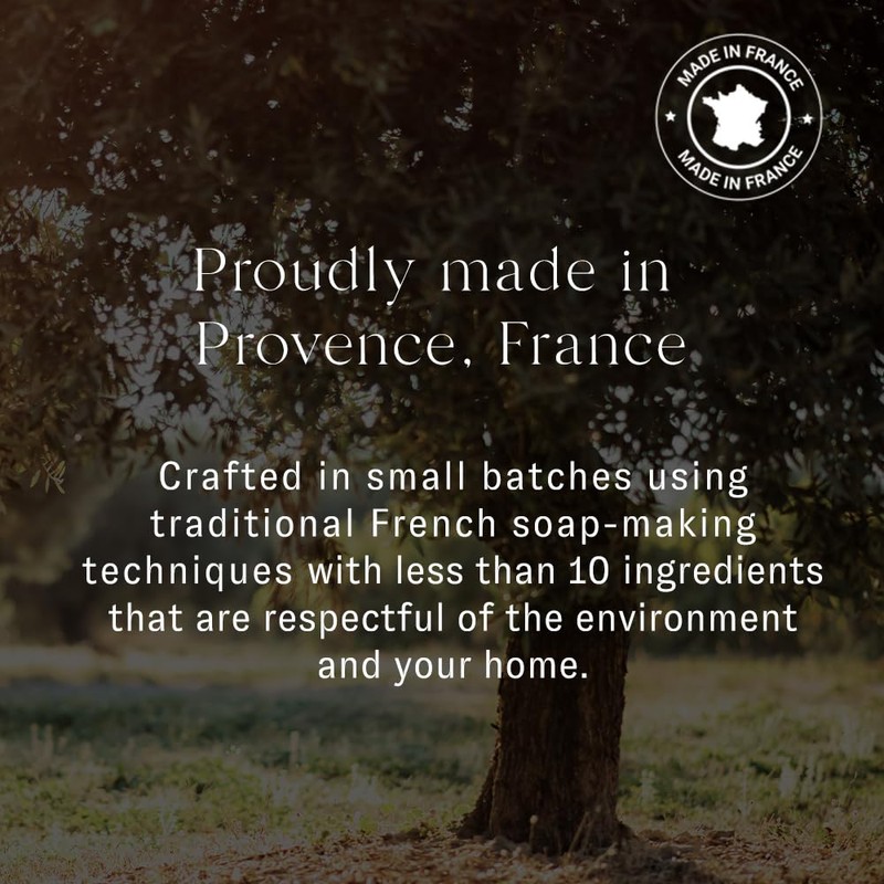 Maison France Luxe Laundry Detergent, Plant based French Soap, 1000ml,