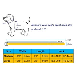 Spiked Leather Dog Collar, 2 Rows Bullet Rivets Studded PU Leather, Cool Skull Pet Collar for Medium and Large Dogs (L:17-20", Black)