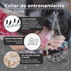 Fancy Pets Collar de Entrenamiento con Púas para Perro de