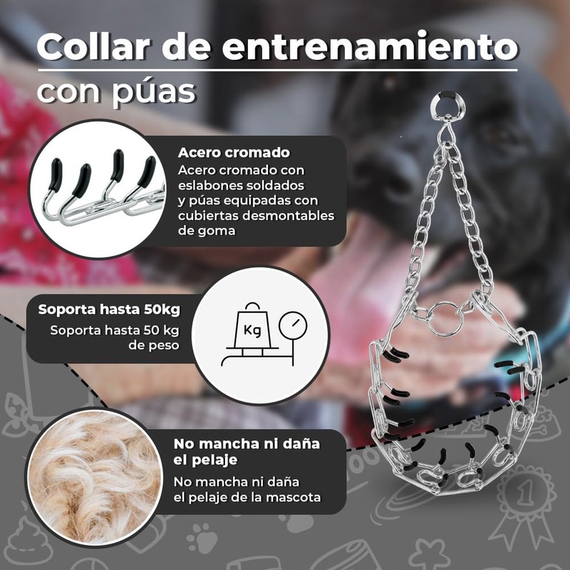 Fancy Pets Collar de Entrenamiento con Púas para Perro de
