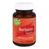 KOPP Vital® Berberin | 90 Kapseln | 56 g |