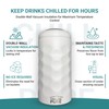 Vacuum Insulated Stainless Steel Wine & Champagne Bottle Cooler –