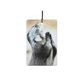 Ali Air Freshener Praying Otter Car Air Freshener
