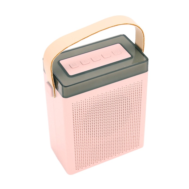 Karaoke Machine Set with RGB Light Rechargeable Bluetooth Speaker with