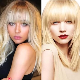 RUNRAYAY Clip in Bangs, Fake Hair Extensions Hair Clip on Wispy Bangs Hair Bangs Clip in Human with Temples Hairpieces for Women Natural Wigs Bangs Clip (Gold 2)