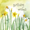 Alex Clark Art Ltd Happy Birthday Narcissi Foil Card
