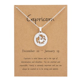 Silver Star Sign Motif Pendant Chain Necklace - Capricorn (22nd December - 19th January) - Zodiac Constellation Horoscope Celestial Astrology Jewellery - Women Men Gift