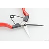 Takagi Koshiji × Takagi Stainless Steel Bud and Fruit Pruning