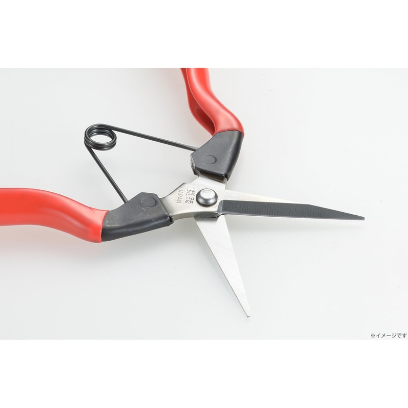 Takagi Koshiji × Takagi Stainless Steel Bud and Fruit Pruning