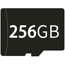 Memory Card for RG35XX+/RG35XX2024/RG35XX Plus/RG35XX H/RG28XX/RG35XXSP/RG40XX H Memory Card 256GB Card