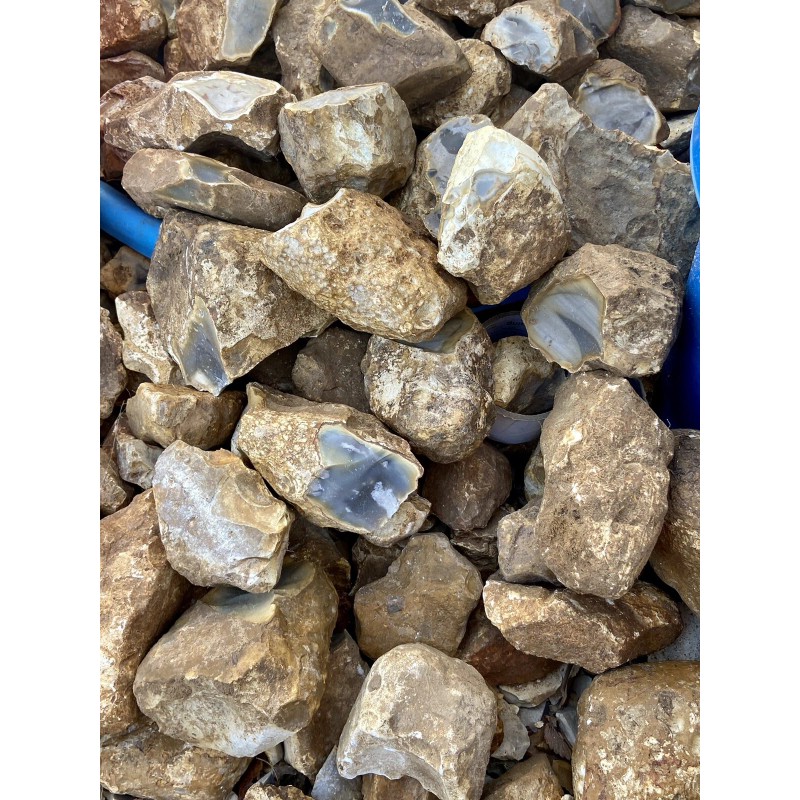 8+ POUNDS Central Texas “Edwards Plateau”Chert/