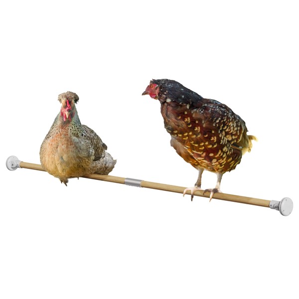 Omlet Chicken Perch | Enhance Your Outdoor Chickens Run with