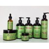 MIELLE Rosemary Mint Strengthening Curly Hair Care Products 7PCS BUNDLE