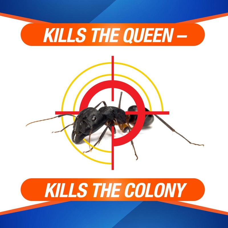 Home Plus Ant Killer Plastic Bait Stations, 4 Count