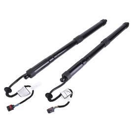 2-Piece Tailgate Lift Support Struts for Kia 2015-2021 Sedona 33L Electric Power Gas Struts Left/Right Pair Replaces 81770A9100, 81780A9100 for Tailgate Lifting Support