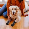 XPEX 4 Pack Non-Slip Dog Socks, Non-Slip Dog Socks for