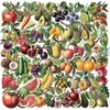 Transparent Fruit Stickers - 50PCS Realistic Fruit Stickers Pack for