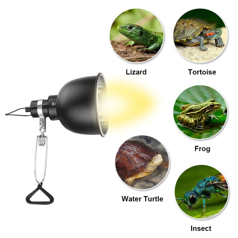 75W Reptile Heat Lamp Tortoise Heat Lamp Basking Lamp Heater