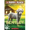 Bentley (The Puppy Place #53)