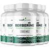 POWERED X PLANTS Pure Berberine Supplement - 1300mg Berberine with