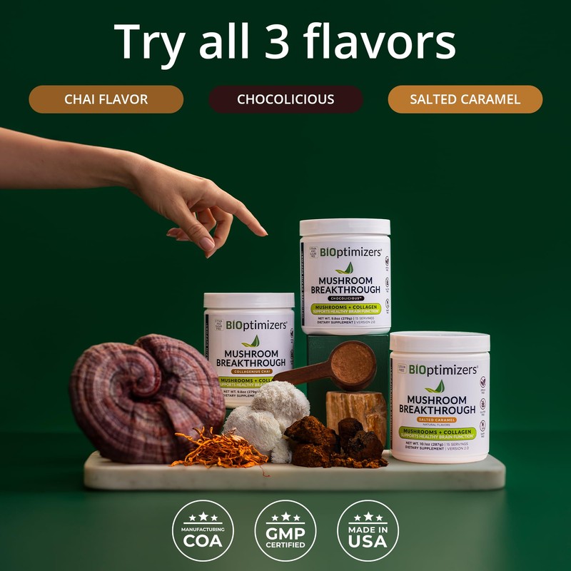 BiOptimizers Chocolicious Mushroom Breakthrough | Nootropic Supplement Blended Powder of