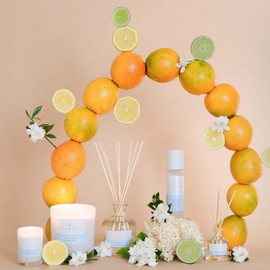 Palm Beach Collection Yuzu & Sea Moss Room Mist 100ml