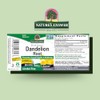 Nature's Answer | Dandelion Root, 2 000 Mg, 1 Oz