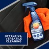 303 Products 30588CSR Interior Cleaner - Safely Cleans Any Surface,